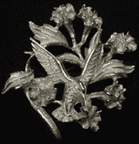 Jewelry Catalog
